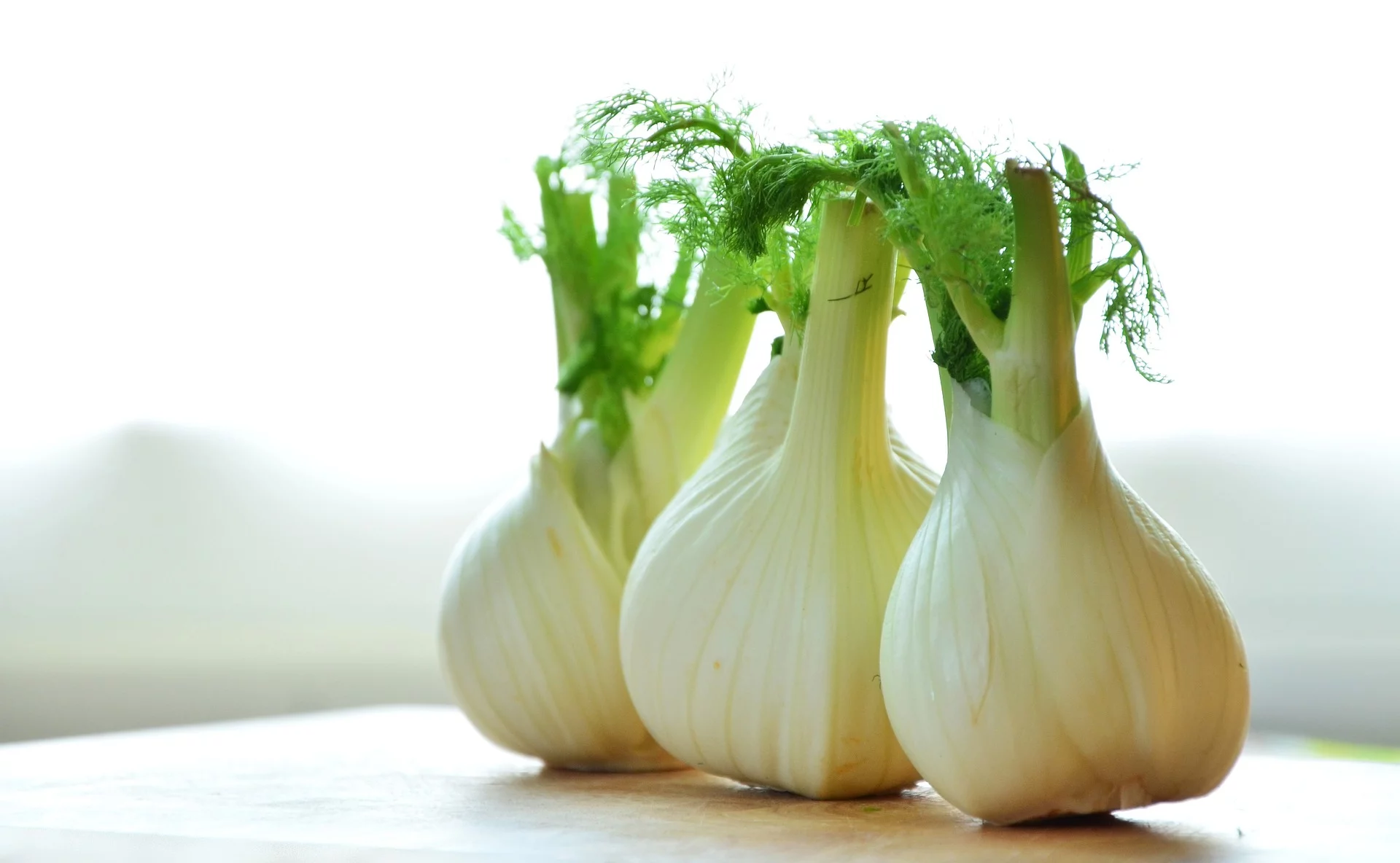 Ingredient Spotlight: Fennel